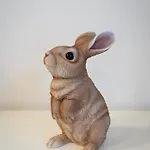 Brilliant Rabbit Appartement