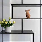 Appartement Brilliant Rabbit
