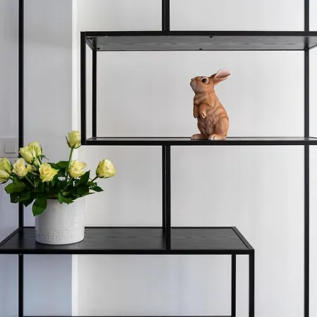 Apartman Brilliant Rabbit