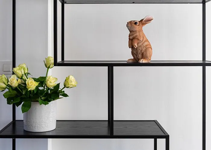 Appartement Brilliant Rabbit